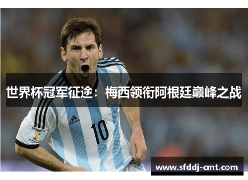 世界杯冠军征途：梅西领衔阿根廷巅峰之战