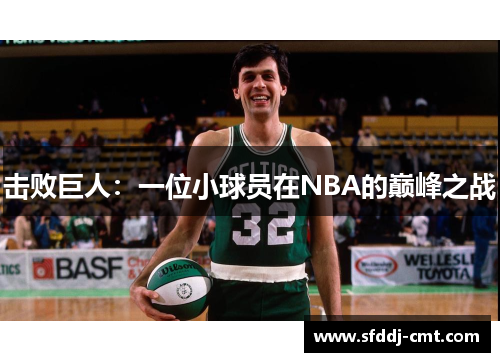 击败巨人：一位小球员在NBA的巅峰之战
